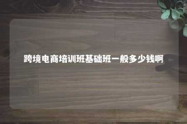 跨境电商培训班基础班一般多少钱啊 跨境电商培训机构有哪些?哪家比较好?