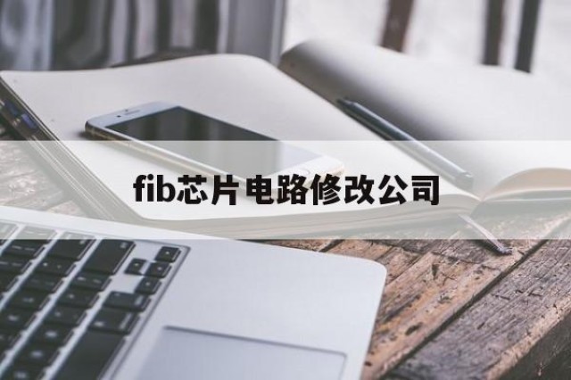 fib芯片电路修改公司的简单介绍