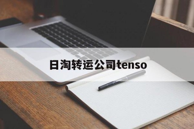 日淘转运公司tenso